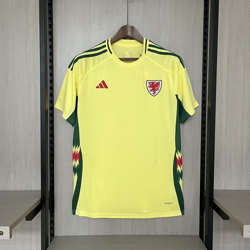 Wales Away Shirt for EURO 2024